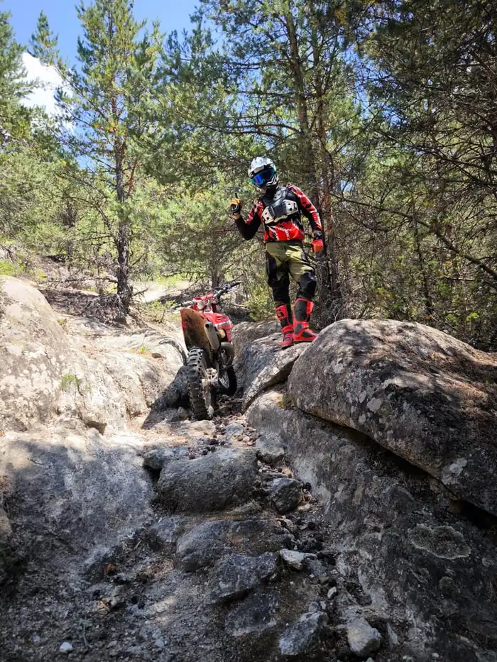 Riding through Bulgarian pine forest near Bansko